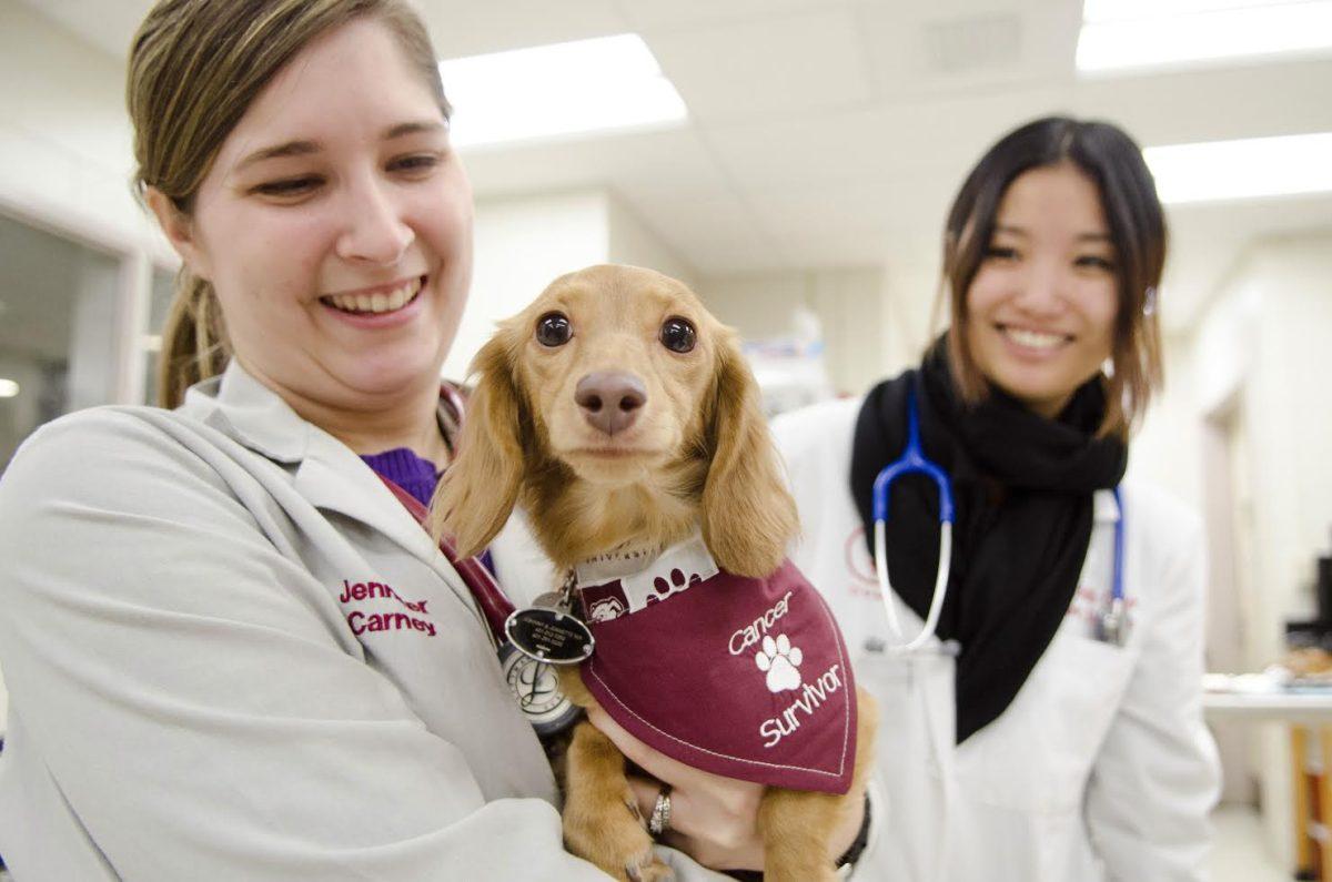 Veterinary+college+advances+in+cancer+research