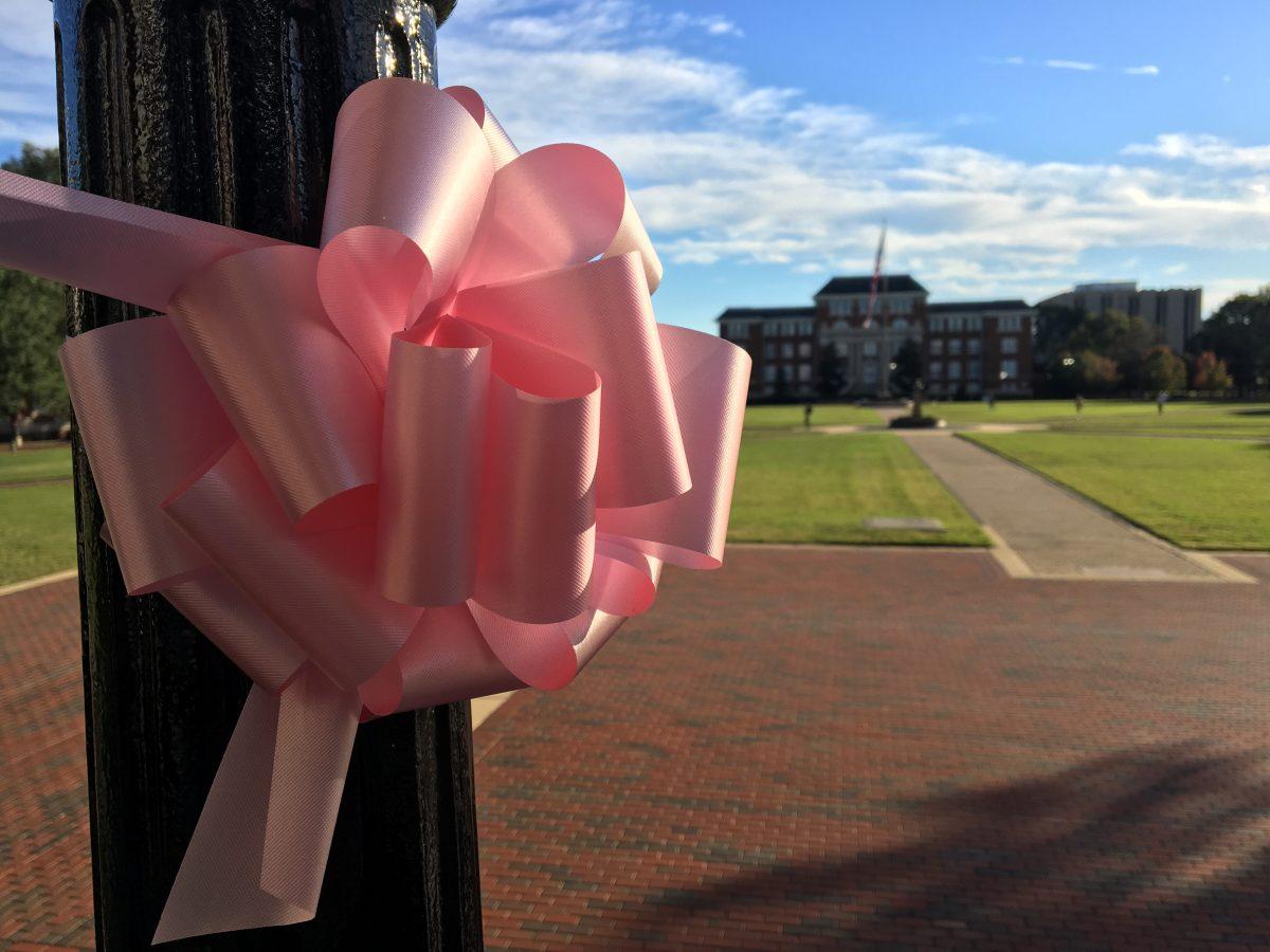Pictured+above+is+a+pink+ribbon+tied+around+a+light+post+outside+of+Lee+Hall+matches+other+ribbons+on+campus+during+the+month+of+October%2C+also+known+as+Breast+Cancer+Awareness+Month.