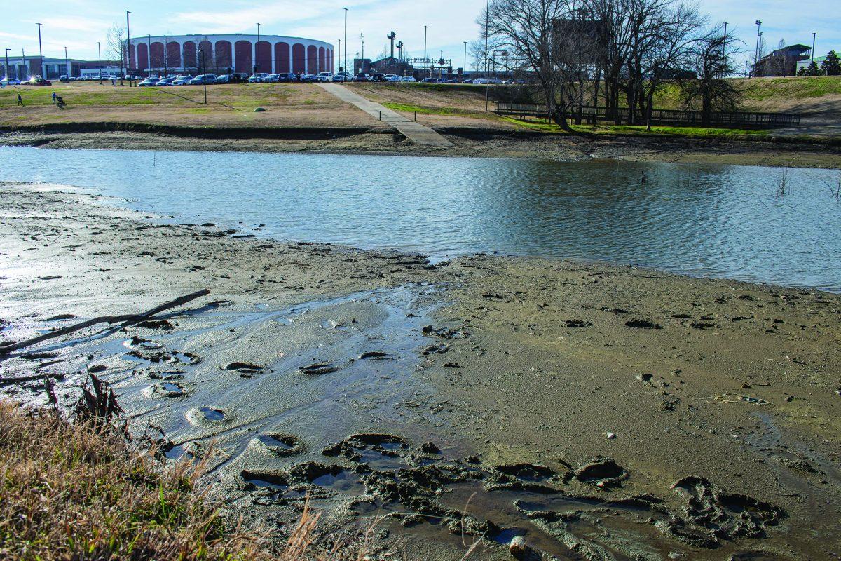 The mysterious disappearance of water from Chadwick Lake on MSU’s campus is due to an algal bloom. MSU is hard at work to fix the issue and restore the lake to its former glory.