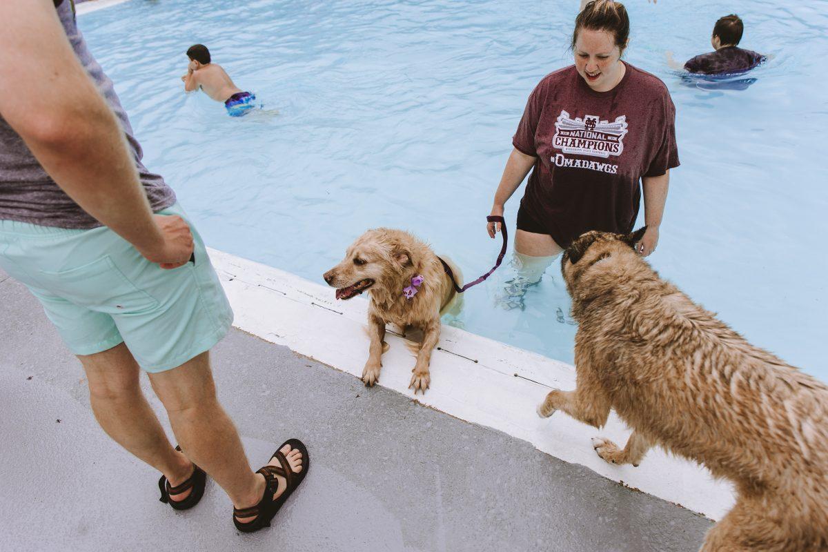 During the Dog Paddle event, visitors were able to bring their dogs to swim in the Moncrief Pool before it is drained.