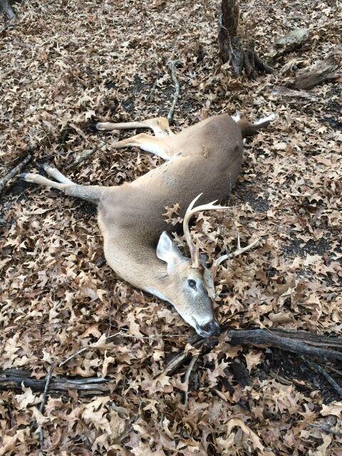 A hunter found the first deer that died from chronic wasting disease north of Vicksburg.