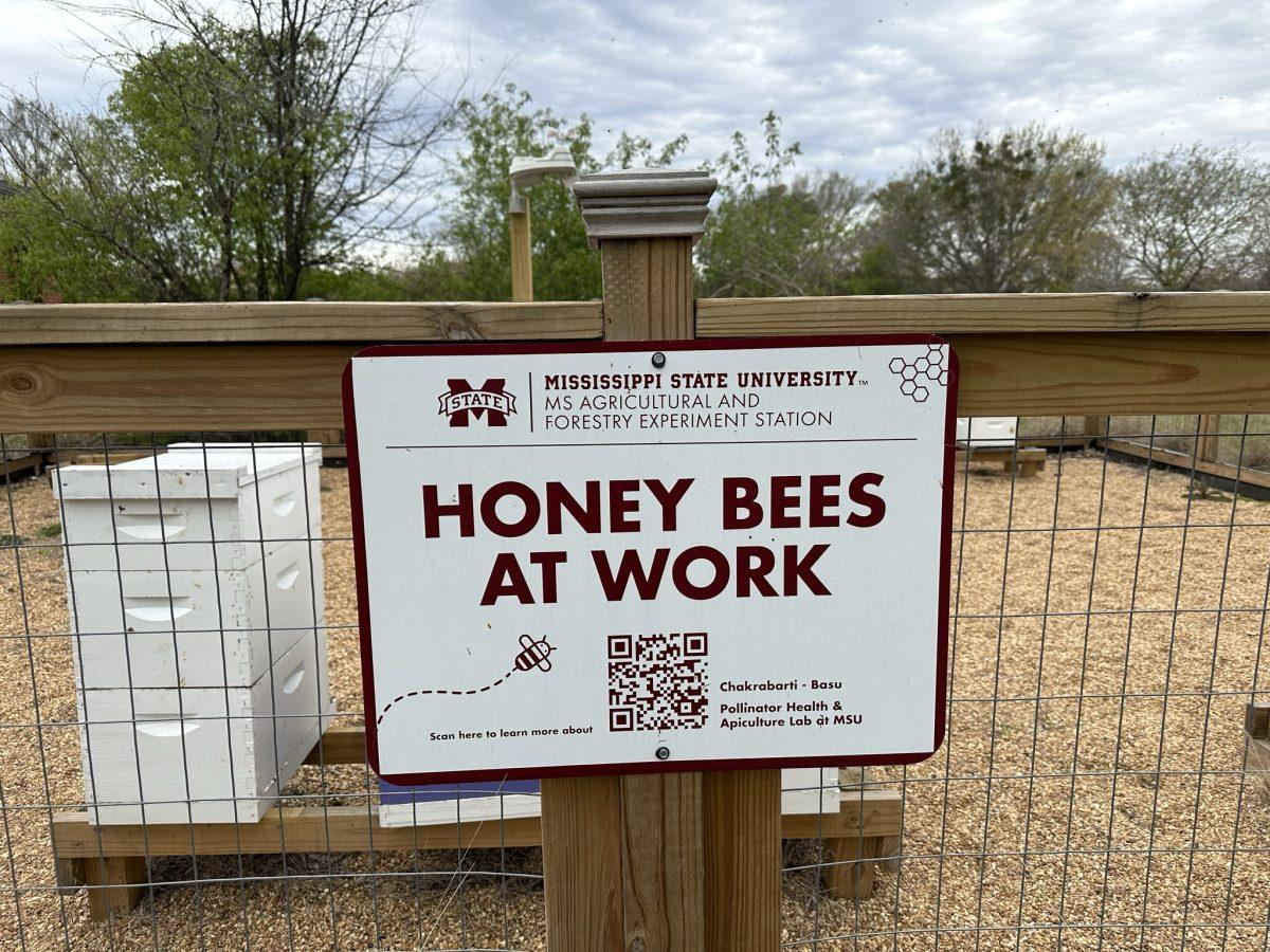MSU+project+will+create+pollen+database+for+bees