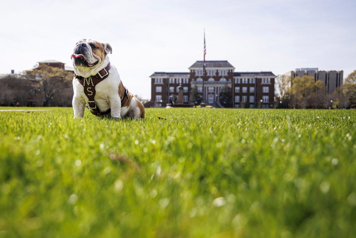 Mississippi State University officially named Dak, an English Bulldog born March 1, 2021, as the 22nd live bulldog mascot April 15, 2023. Dak will represent the school at its major functions including sporting events.