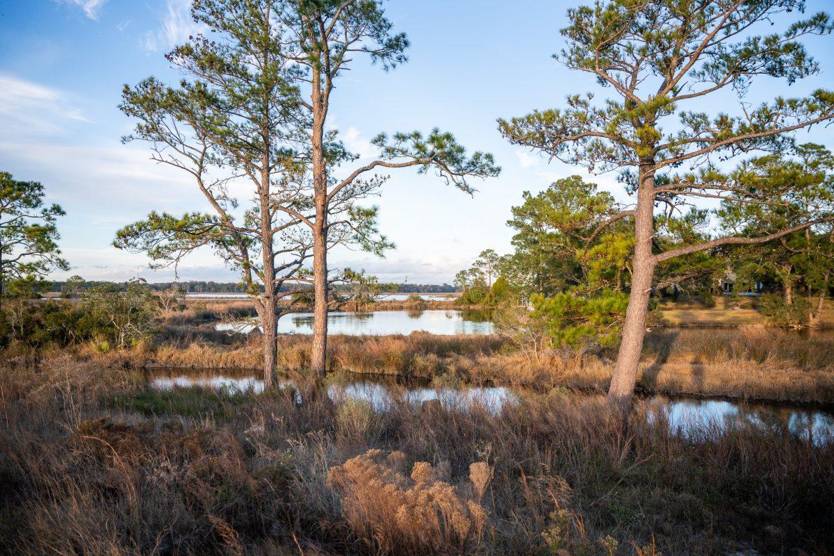 Biloxis river marshes, like many other coastal wetlands, face risks associated with sea level rise and erosion. 