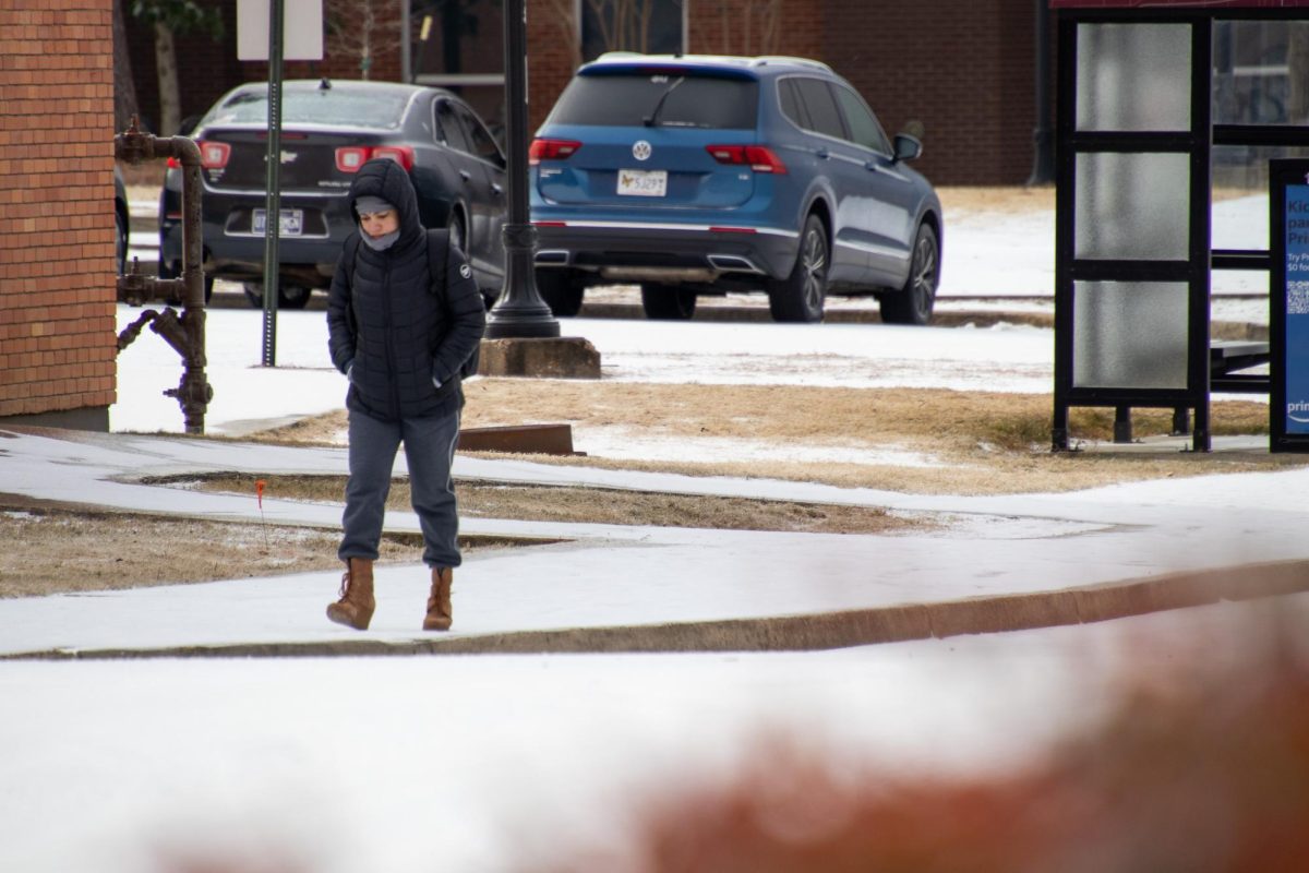 Winter weather conditions led MSU to operate remotely for the first two days of class.