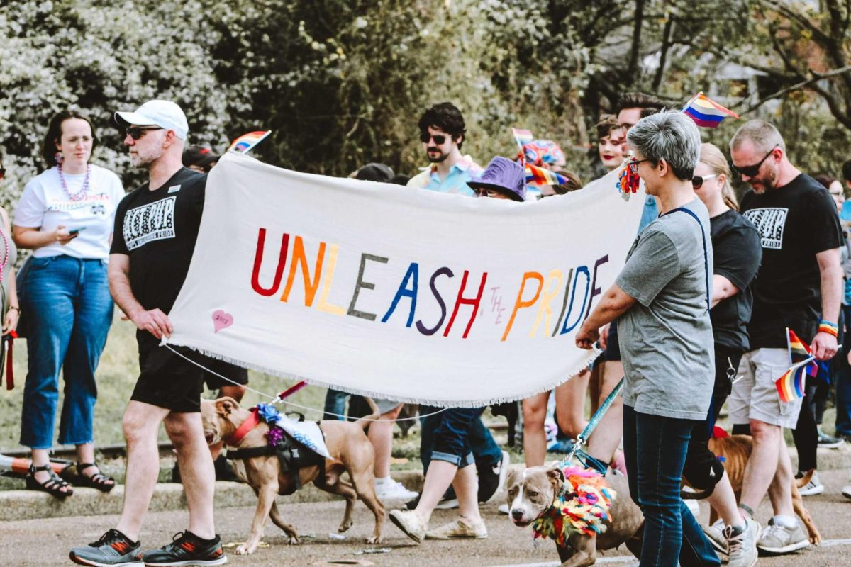 Scene from a pride march in Starkville.