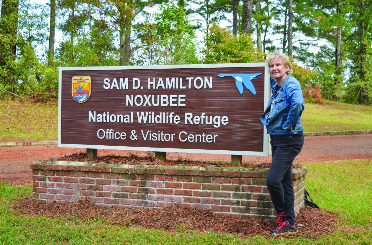 1975 MSU graduate Diane Baker, a Louisiana-based artist and graphic designer, is one of the annual artists-in-residence at the Sam D. Hamilton Noxubee National Wildlife Refuge.