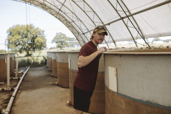 MSU graduate student Josh Neary overlooks tanks at South Farm aquaculture facility.