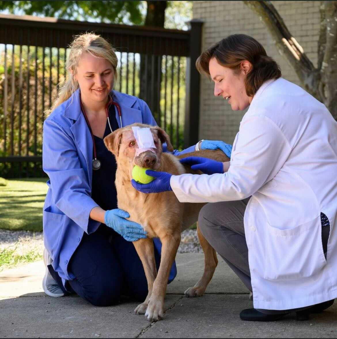 Buddy is pictured with two of his veterinarians, Dr. Swanson and Sophie Mauldin.