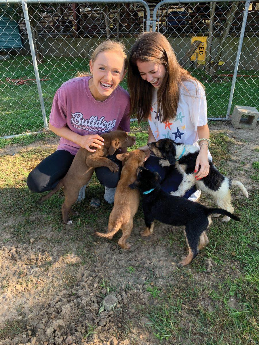 Hands & Feet club members recently volunteered at the West Point Animal Shelter.