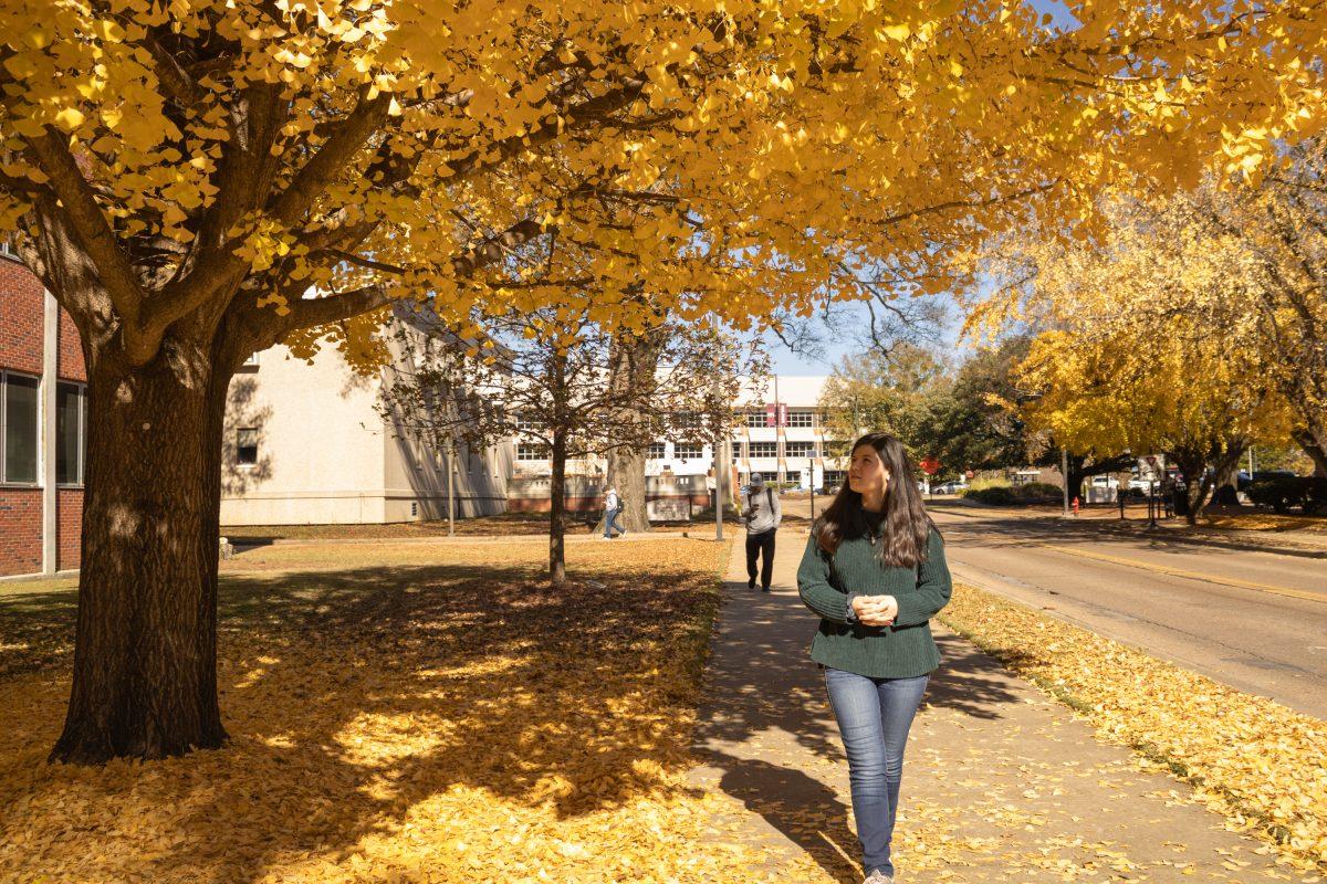 Hannah Storey admires a gingko tree outside the Mitchell Memorial Library. It is commonly believed that the ginkgo tree originated in China, but it actually has its roots in North America.