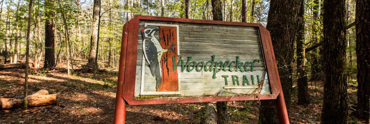 The Woodpecker trail at the Noxubee Wildlife Refuge is one of the few trails available to Starkville residents.