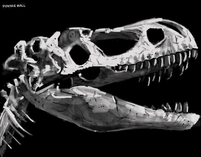 A graphic of a dinosaur skull for the article on how dinosaurs and dragons are comparable. 
