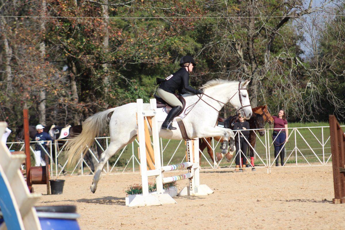 Senior Alex Gordon is currently serving as the Mississippi State Equestrian Teams hunt seat captain