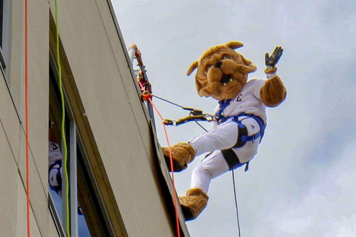 Bully went over the edge for the Friends of the Childrens Hospital one year.