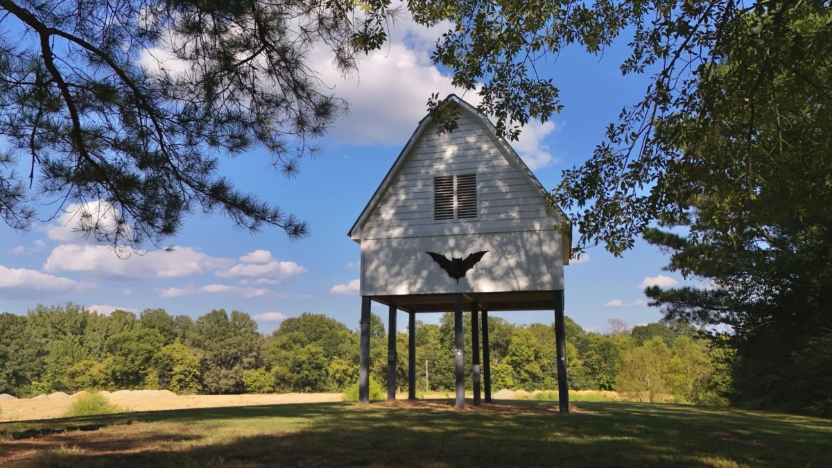 Bat house project gives MSU wildlife a new home