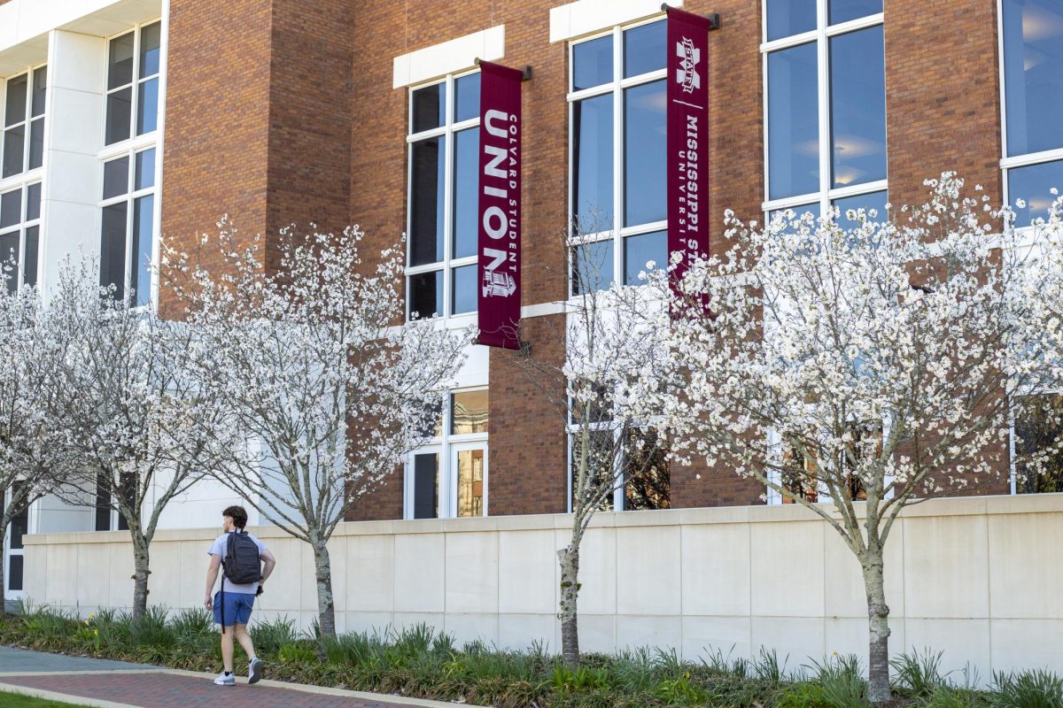 Trees bloom in front of the Colvard Student Union in March 2025. 