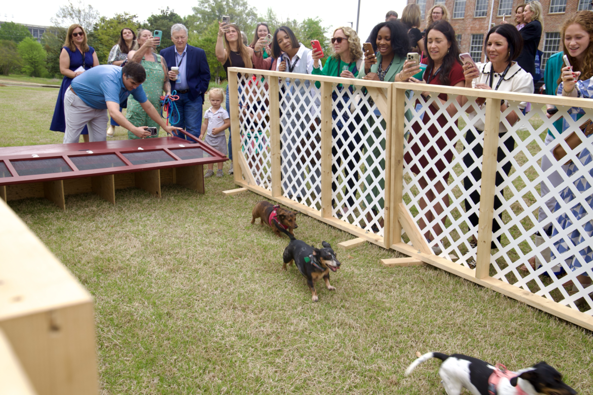 Spring Conference offers preview of upcoming Starkville Derby